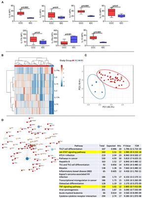 T-Cell Subpopulations Exhibit Distinct Recruitment Potential, Immunoregulatory Profile and Functional Characteristics in Chagas versus Idiopathic Dilated Cardiomyopathies